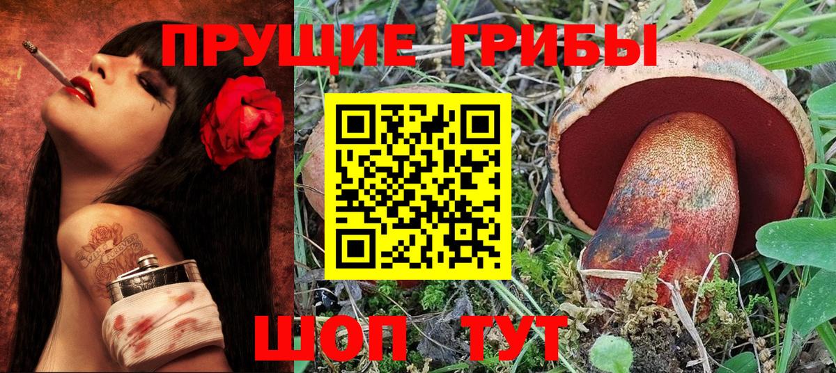 Псилоцибиновые грибы Cubensis Усть-Джегута