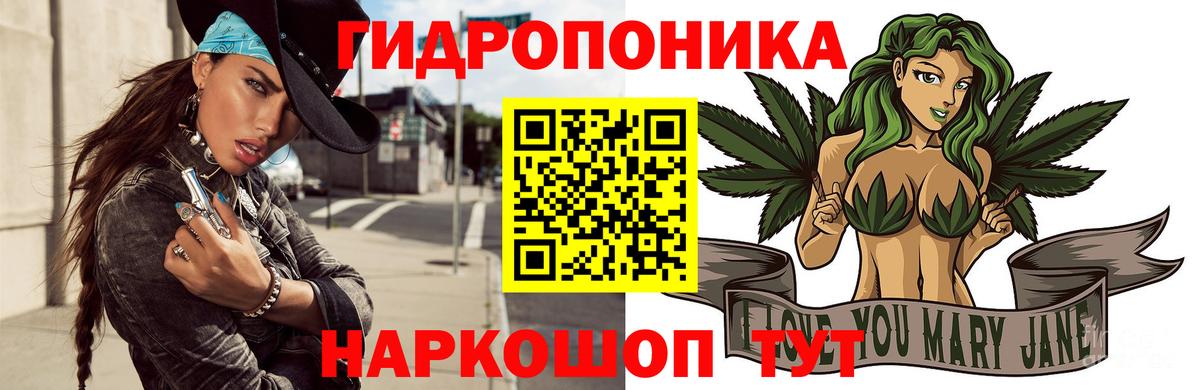 Шишки марихуана MAZAR  Бошки Шишки Bruce Banner  Бошки Шишки Ganja  Усть-Джегута  Шишки марихуана гибрид  Вход с VPN 